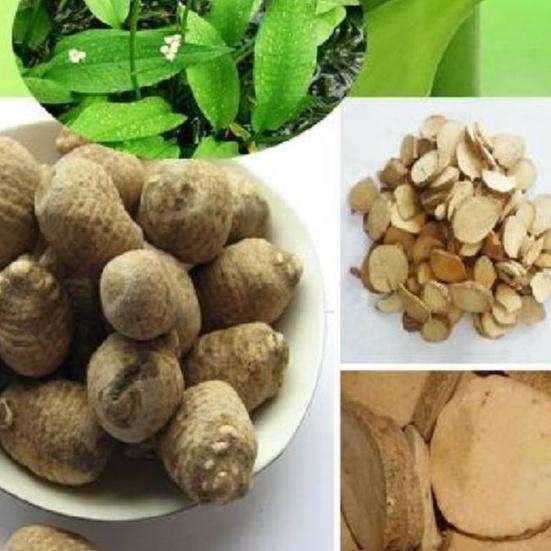 Hạt giống cây trạch tả,hạt giống chuẩn f1 -1 gói 2 gram