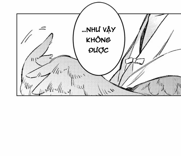 điểu thượng minh hoa chapter 1.1 11