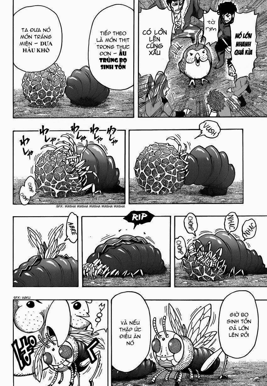 thợ săn ẩm thực chapter 267 17