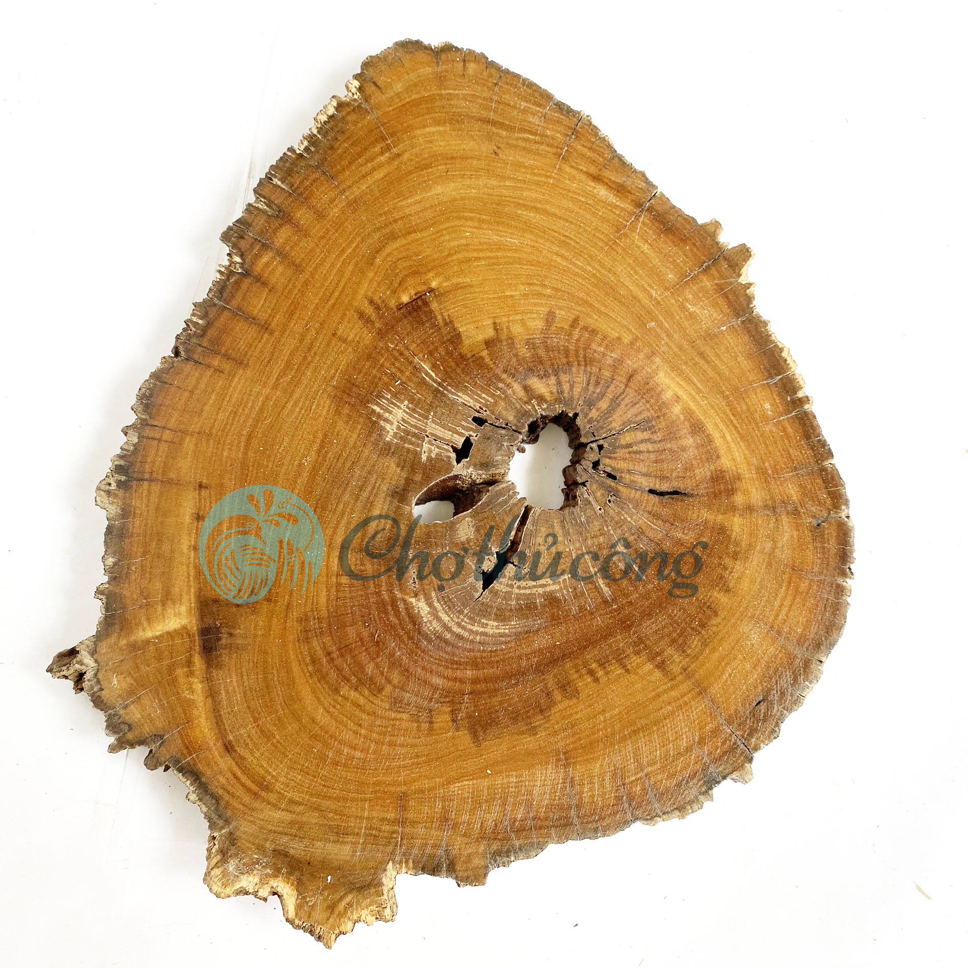 Khoanh gỗ tự nhiên lót chậu cây 20-25cm, lát gỗ lũa decor làm đế chậu cây, đế làm tháp bánh, đế gỗ kê tượng, miếng gỗ decor