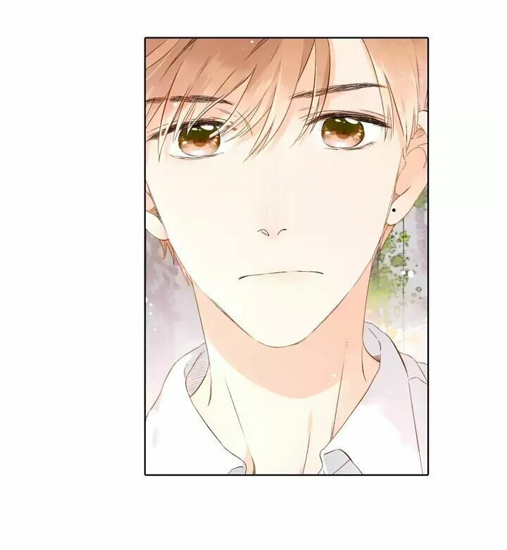 Tình yêu là màu hoa anh thảo chapter 25.2 1