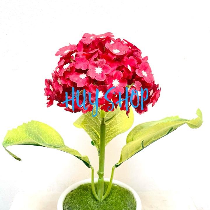 Lọ Hoa CẨM TÚ CẦU Sao nhân tạo trang trí nhà cửa