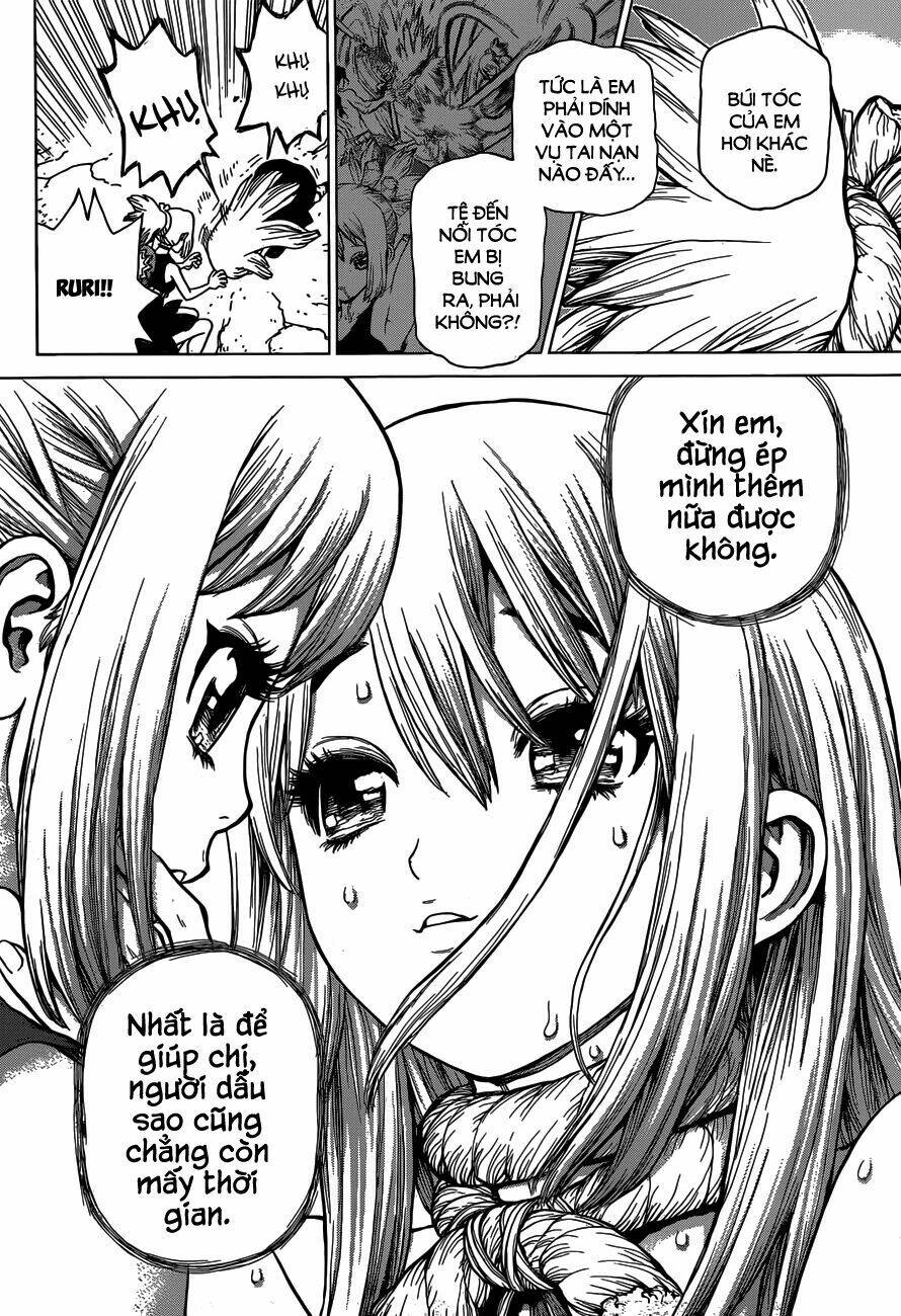 dr.stone - hồi sinh thế giới chapter 19 12