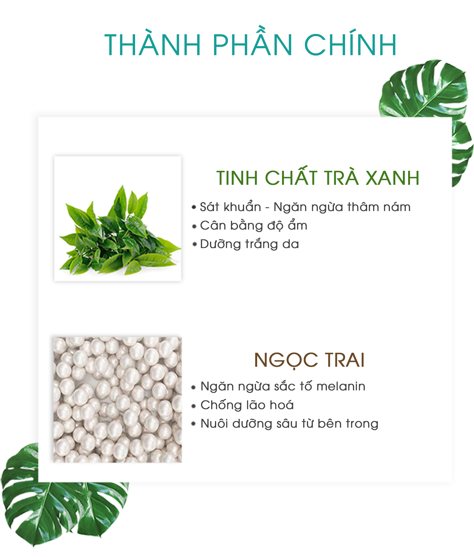 Kem Dưỡng Trắng Ngừa Nám KN Beauty - Melasma White Skin Multifunctional Cream 25g