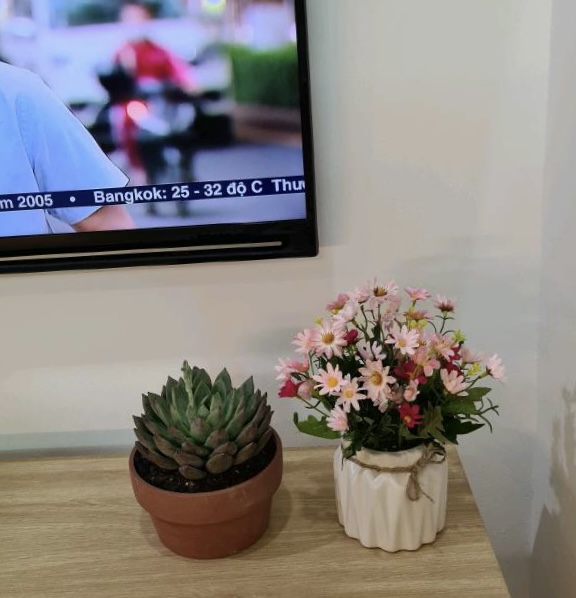 Chậu Hoa Cẩm Tú Cầu - Hoa lụa - dùng để trang trí bàn làm việc, phòng khách, bàn ăn
