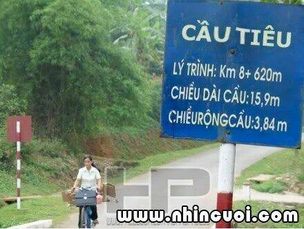 hình ảnh hài hước new chapter 6 4