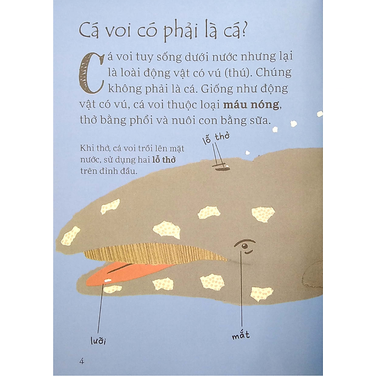 Sách Lâu Đài Khoa Học Của Em