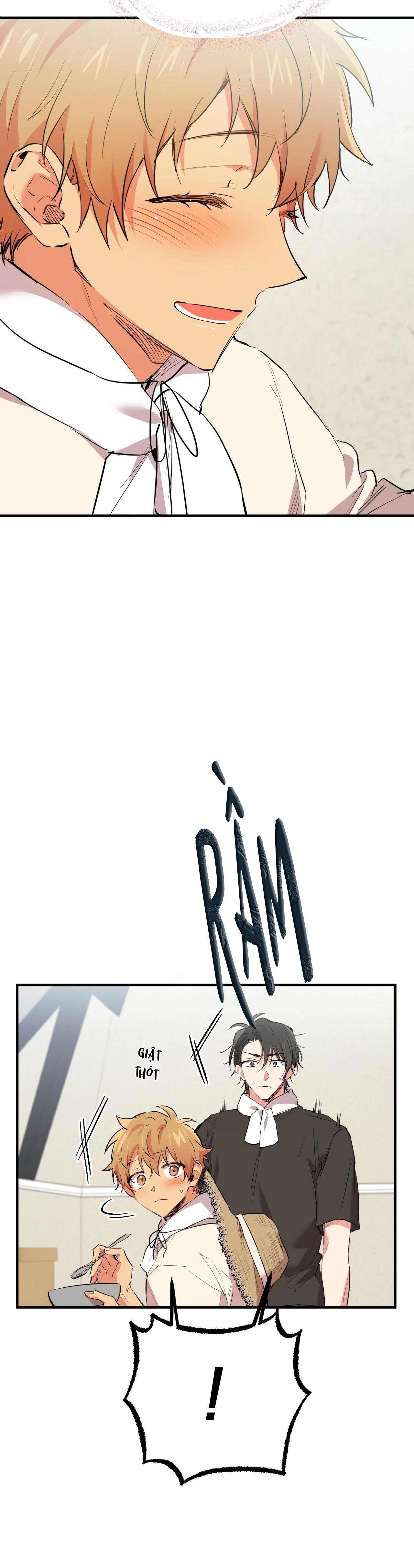 những chú thỏ của hapypy chapter 31 37