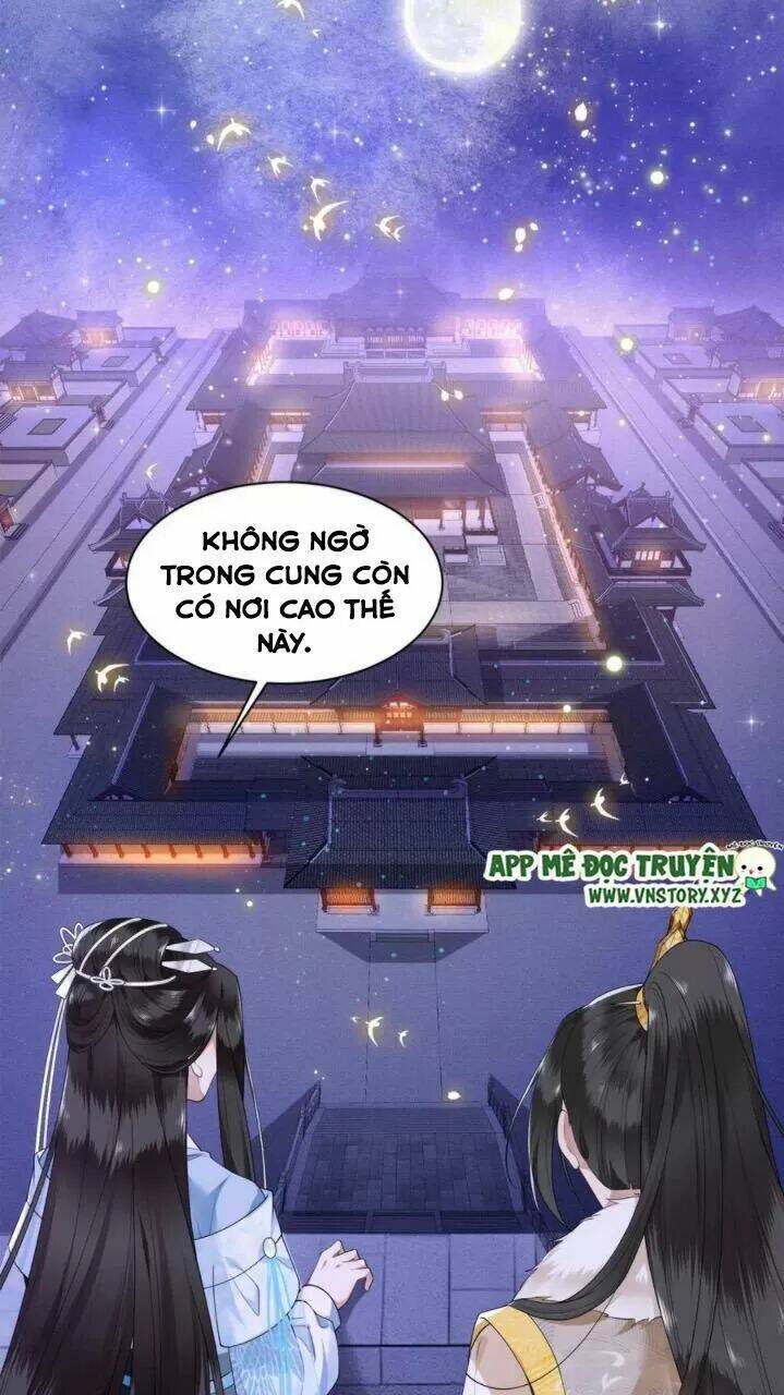 phượng hoàng vu phi chapter 78 20