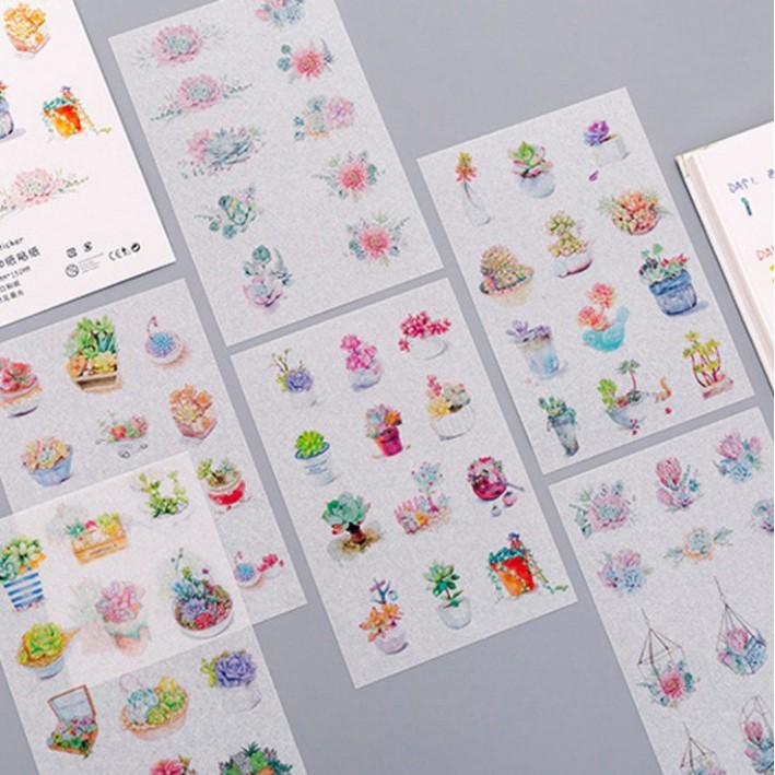 Set 6 tập sticker trang trí cây xương rồng Cantus