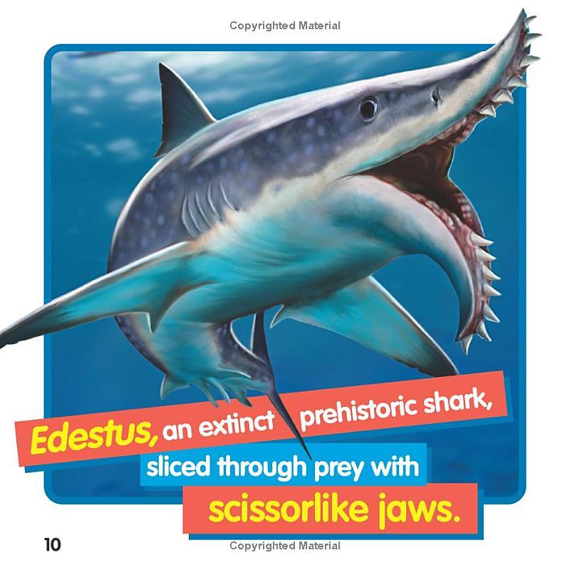 Sách ngoại văn: Weird But True! Sharks