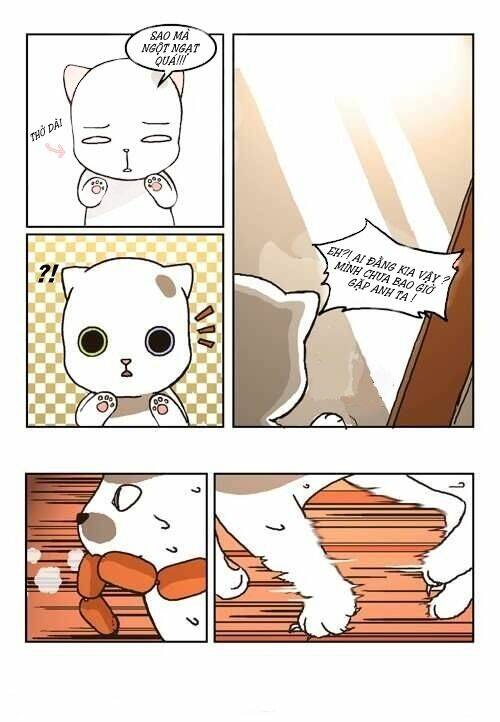 papi nyang chapter 3 4