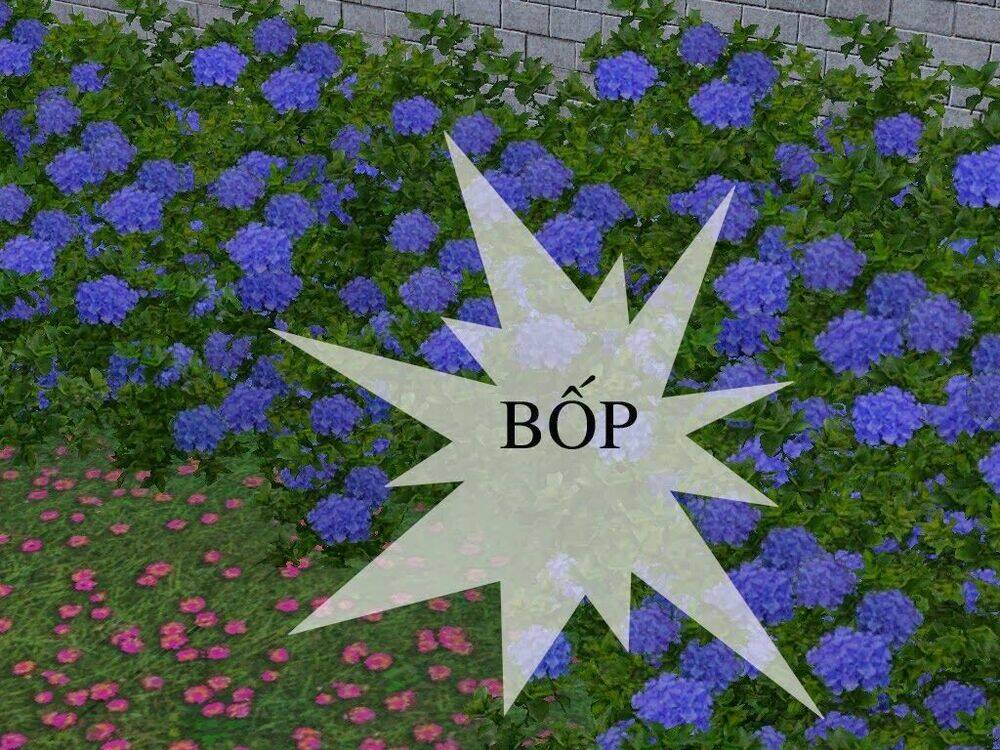 the fate chapter 26 3