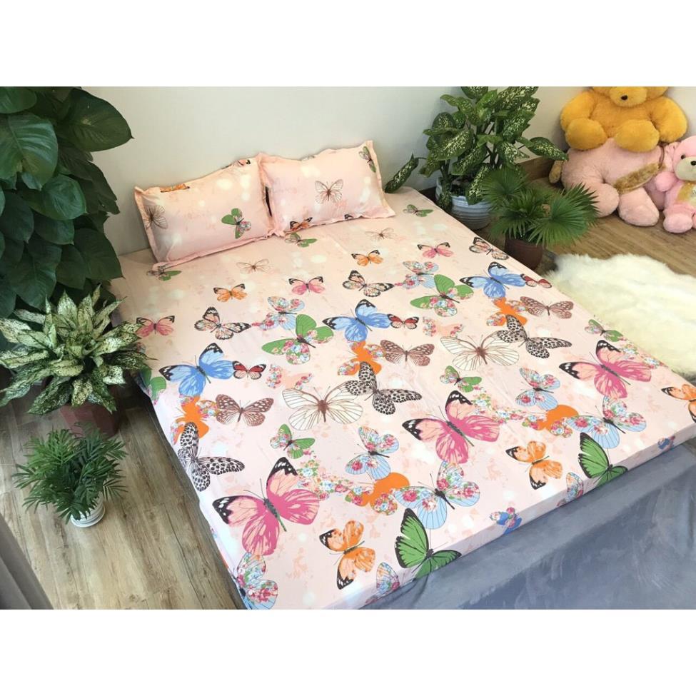 Bộ ga gối poly cotton