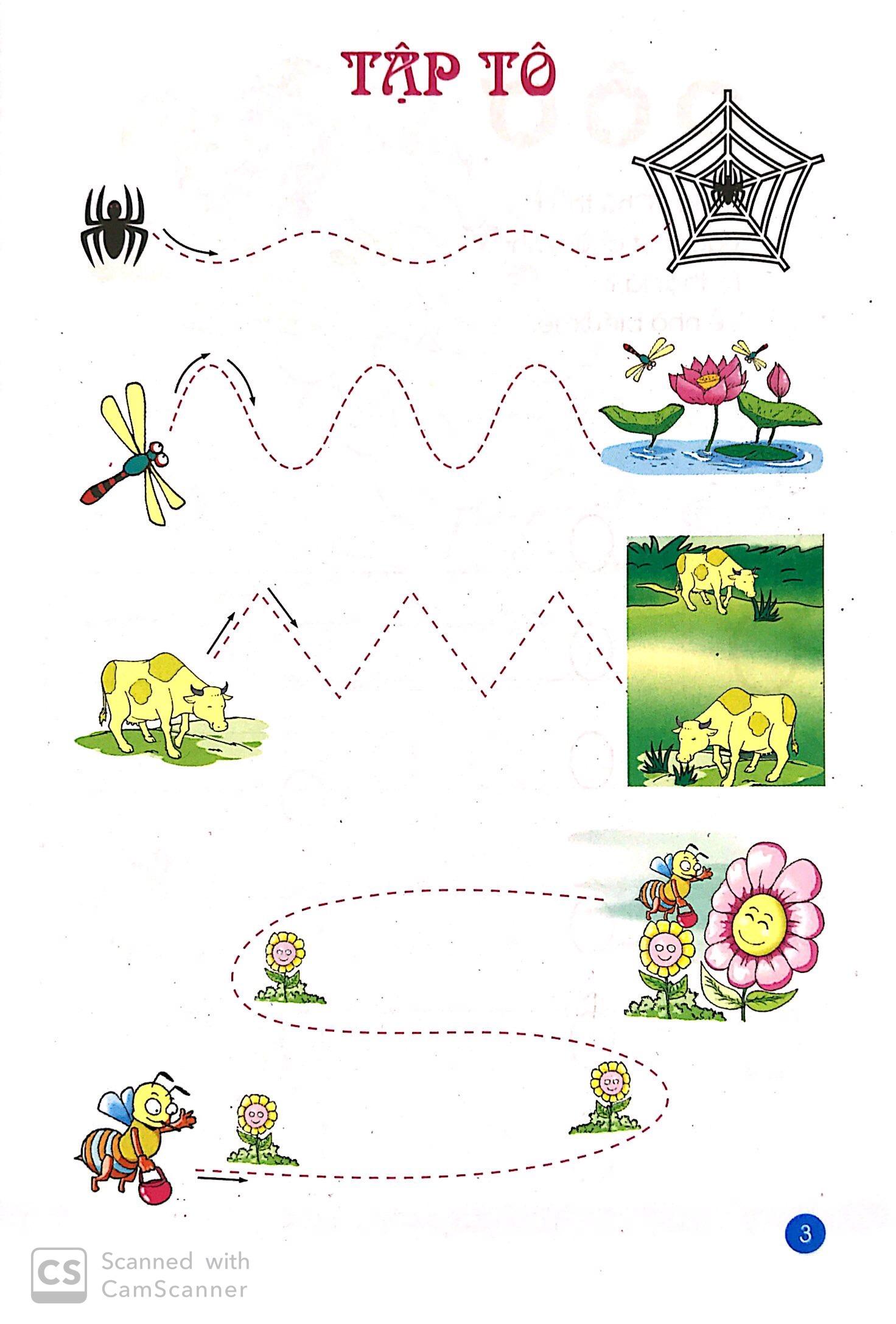 Tập Tô: Dành Cho Bé 4 - 5 Tuổi