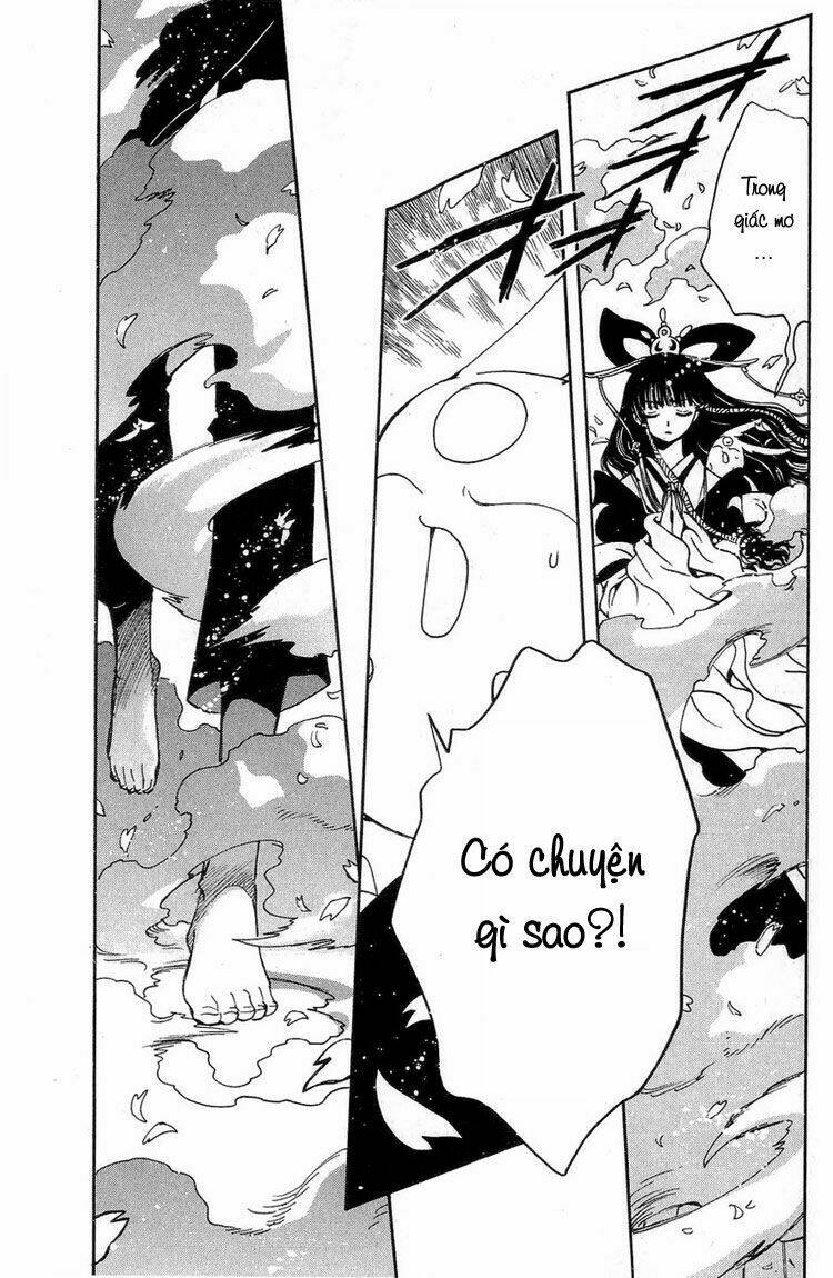 huyền thoại đôi cánh chapter 177 11