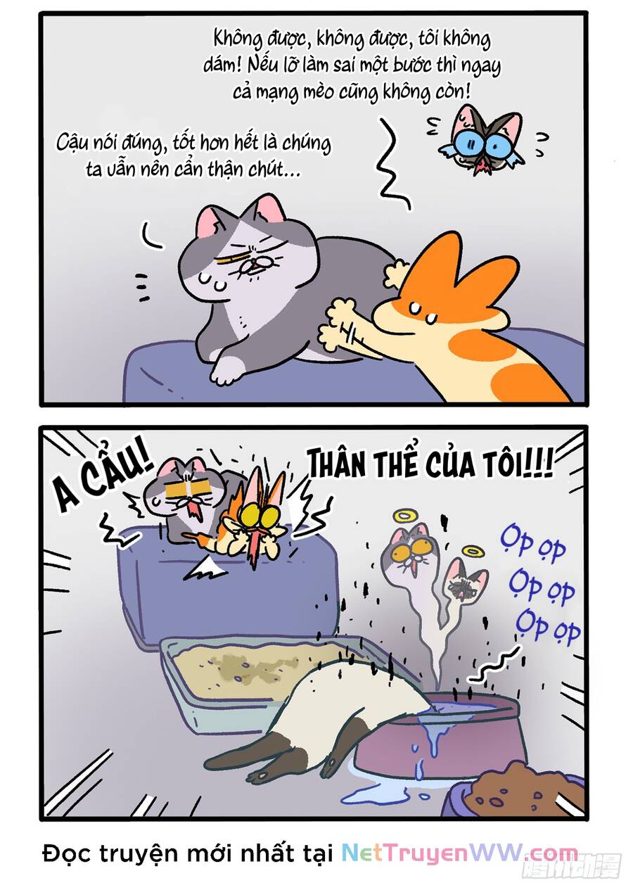 a mãn và mạch trà chapter 151.1 2