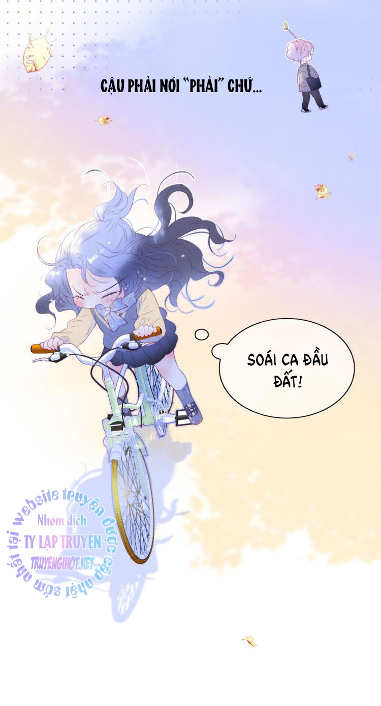 hoa và nhím cùng bỏ trốn chapter 31 17