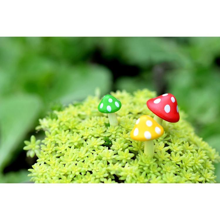 Tiểu cảnh mini ️ Nấm nhọn trang trí tiểu cảnh, sân vườn, sen đá, sân vườn, bể cá, bể terrarium