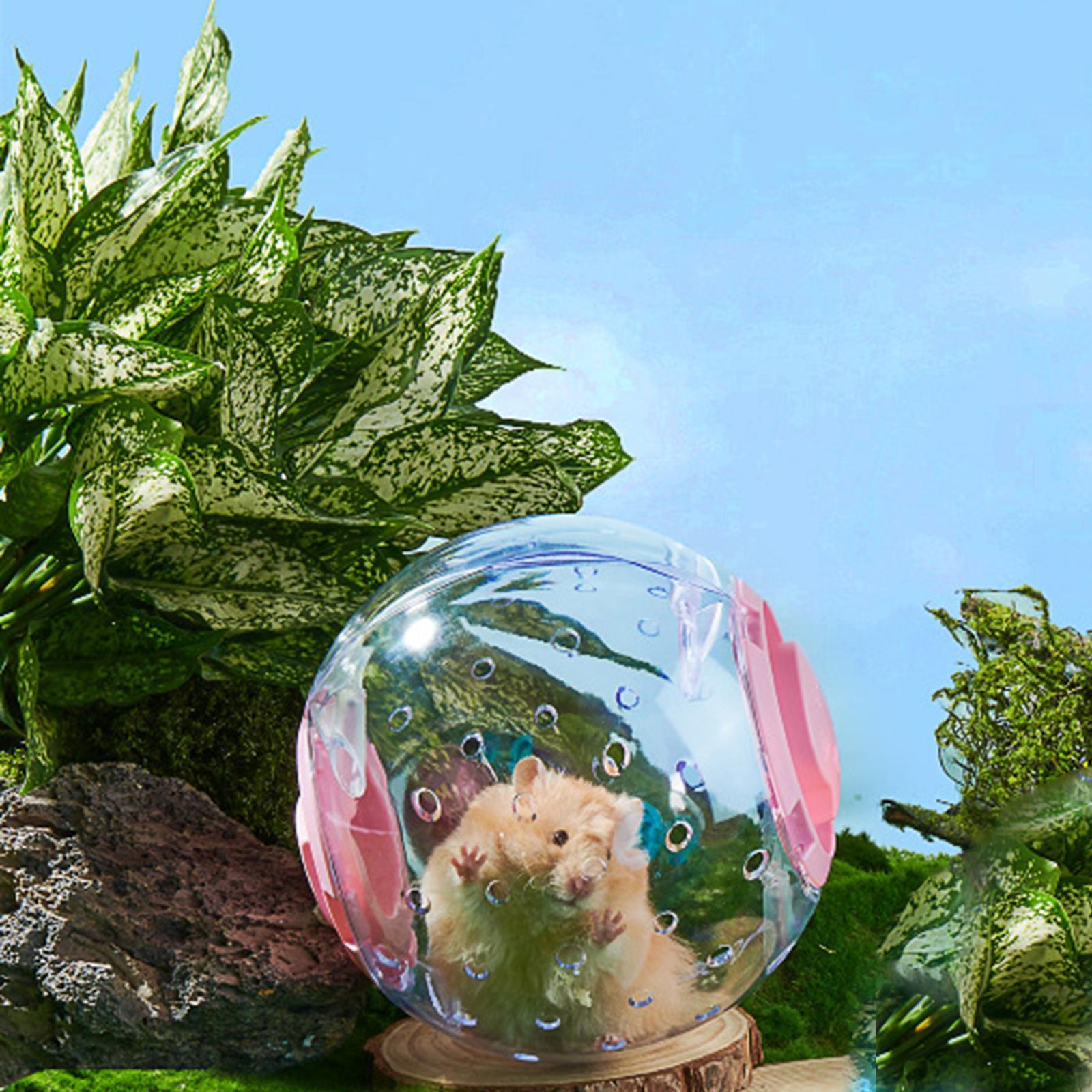 18cm Hamster Exercise Ball Gerbil Ball Wheel Sturdy Stylish Small Animal Toy