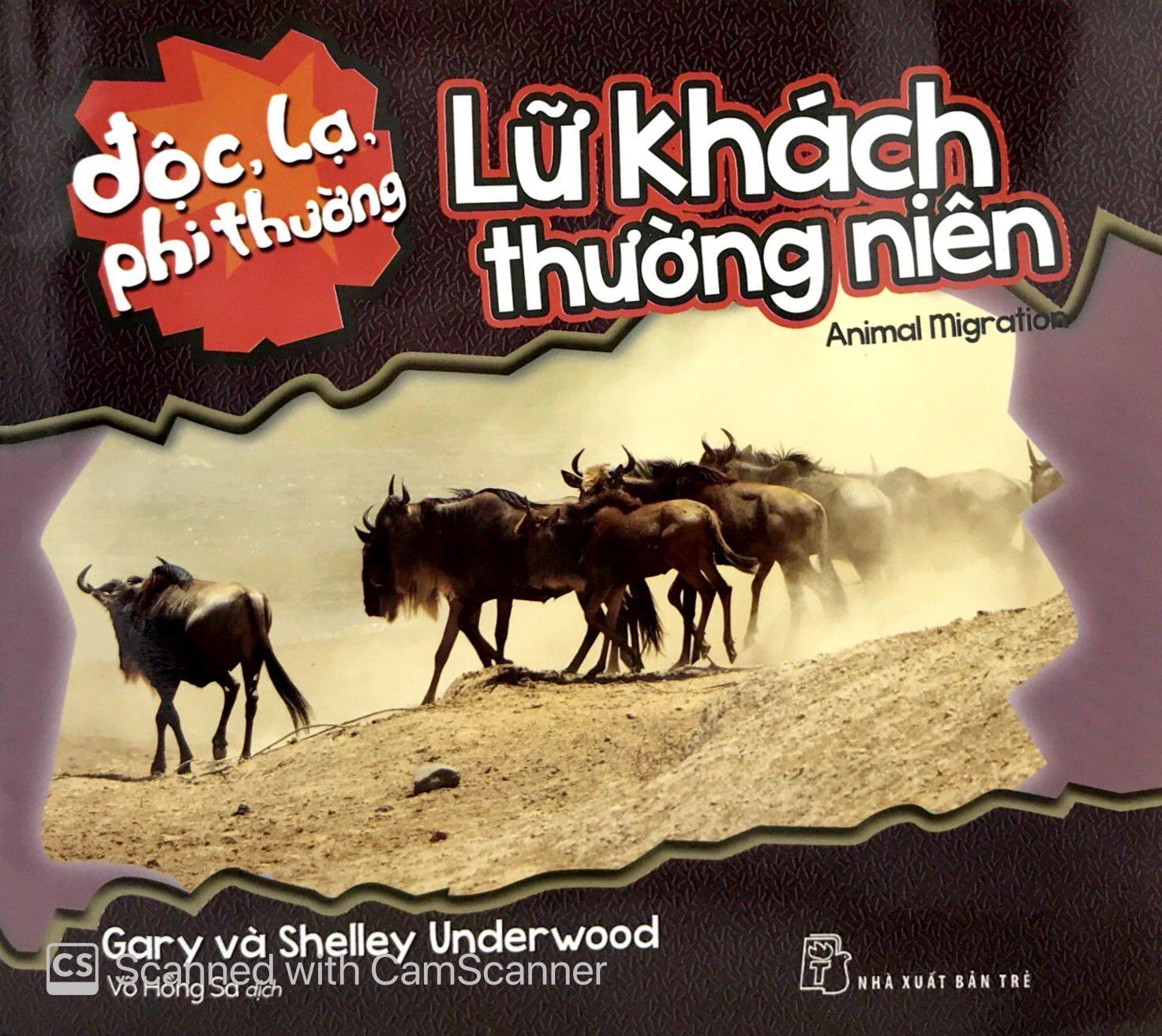 Độc Lạ Phi Thường - Lữ Khách Thường Niên