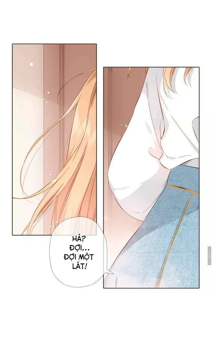 Tình yêu là màu hoa anh thảo chapter 33.2 27