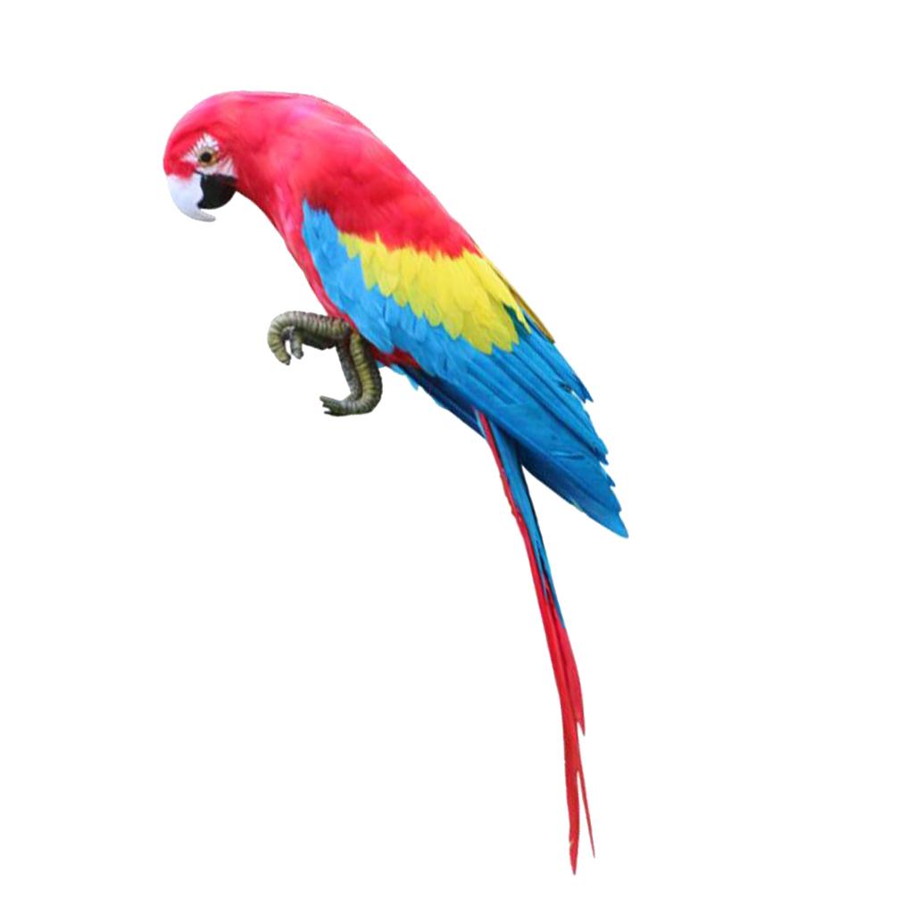 Parrot Ornament Feathered Bird Animal Figurine Garden Lawn Yard Tree Decor