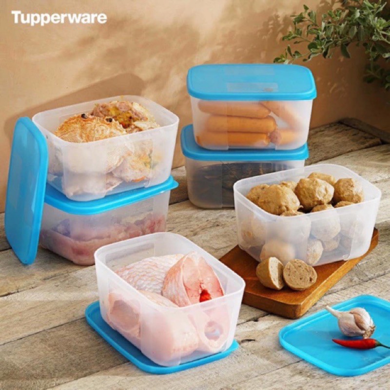 Hộp Trữ Đông BQTP Tupperware 650ml , Kín Khí , Kín Mùi, Trữ Thực Phẩm