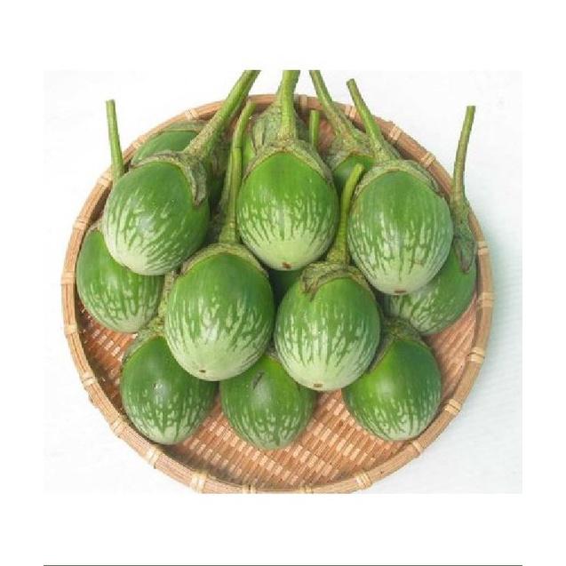 Hạt giống Cà Trứng Rồng Mã Lai/gói 0.3gram-tặng kèm gói phân bón lót