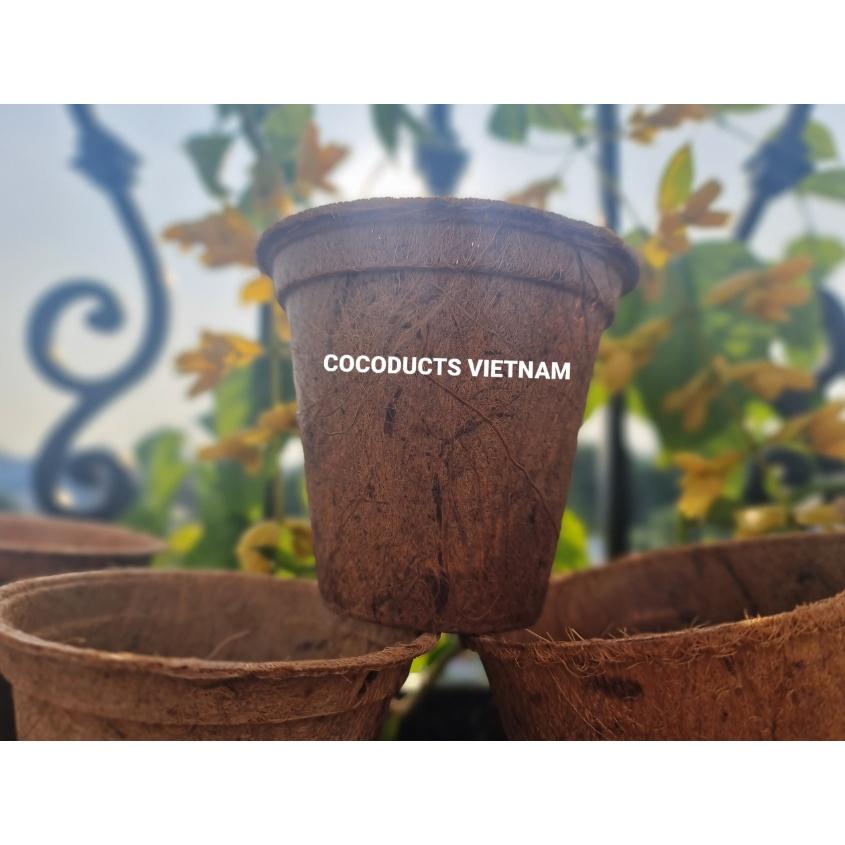 Chậu xơ dừa ép nhiệt Coir Pot