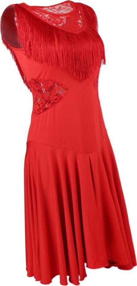 Women's Latin Dance Dress Fancy Costumes