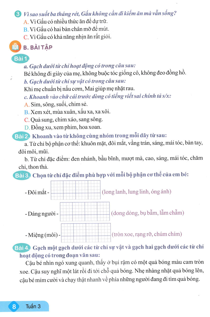 Ôn Hè Tiếng Việt 2 - ND (Bộ Sách Kết Nối Tri Thức Với Cuộc Sống)