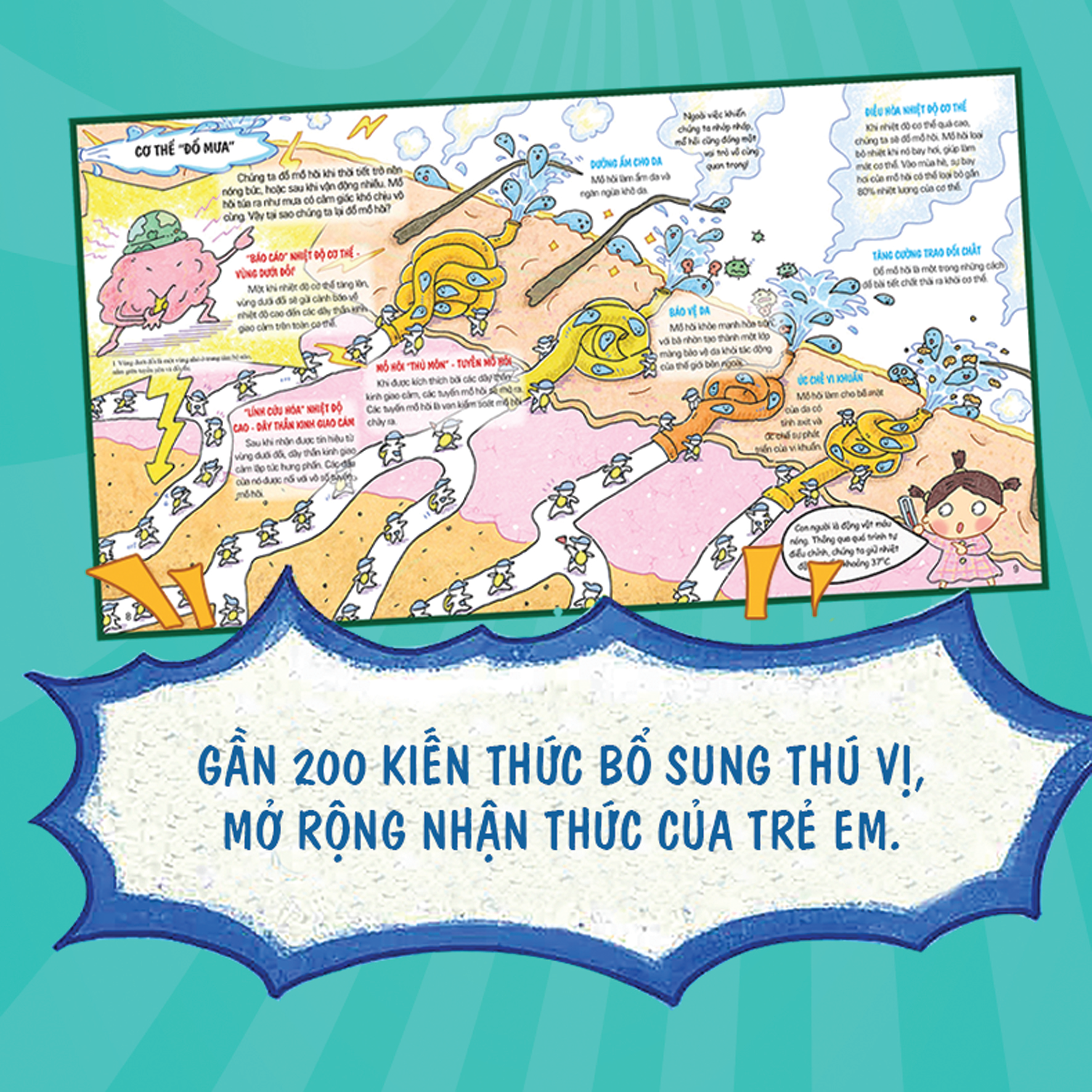 Combo 1 - Cơ thể siêu rắc rối 8T