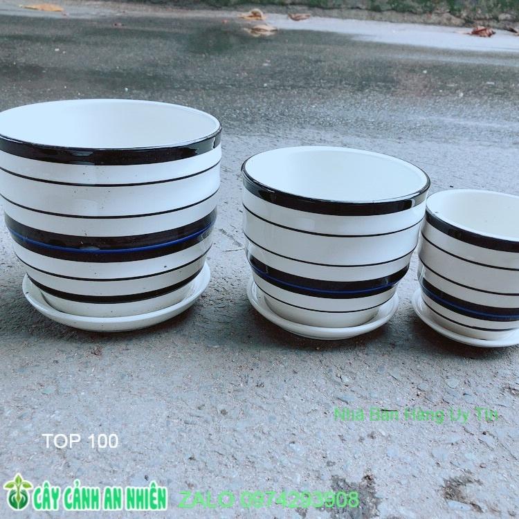 Bộ 3 Chậu Sứ Trồng Cây Hàng Cao Cấp