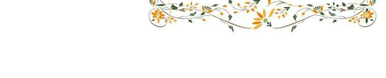 tôi sẽ cố gắng bảo vệ em gái chapter 26 175