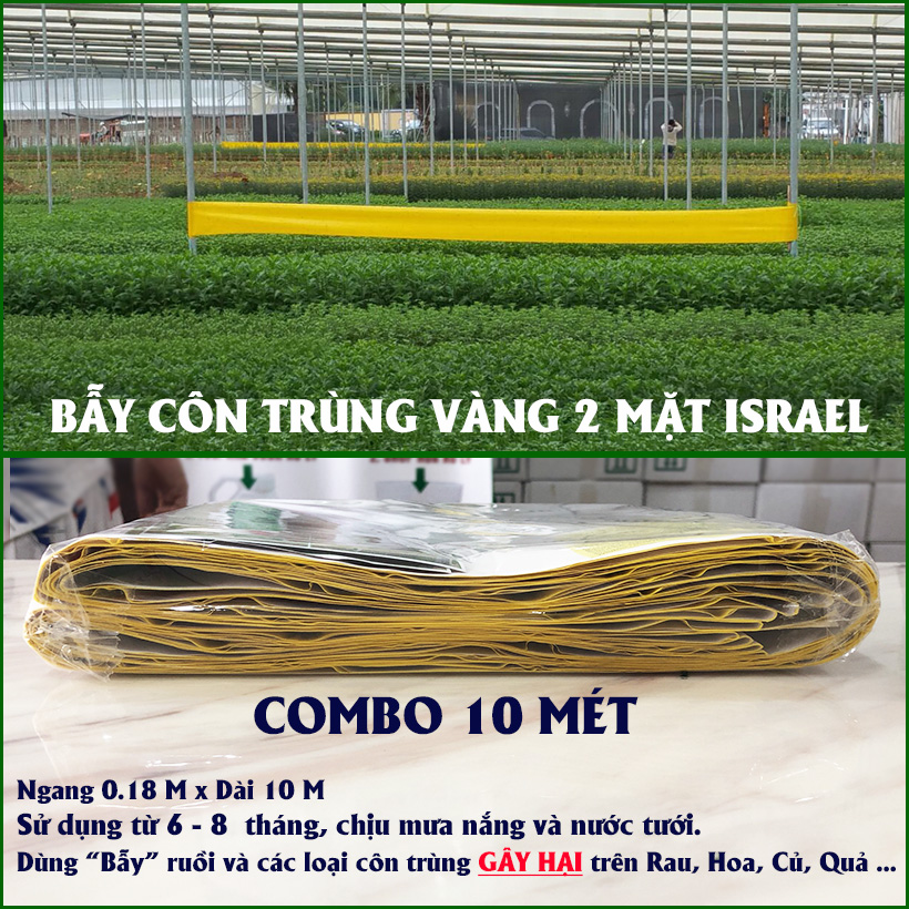 Bẫy Ruồi Bằng Keo Dính Vàng Sinh Học Israel Cuộn 10 Mét Trải Nghiệm. Hiệu Sticky Yellow Roll là Keo Dính Vàng 2 Mặt Israel (RỘNG 18CM X DÀI 10M) Nhập Khẩu Israel Sử DụngTrong Ngành Nông Nghiệp Sạch dùng Bẫy Ruồi Giấm, Ruồi Vàng, Ruồi Cái và cả các loại cô