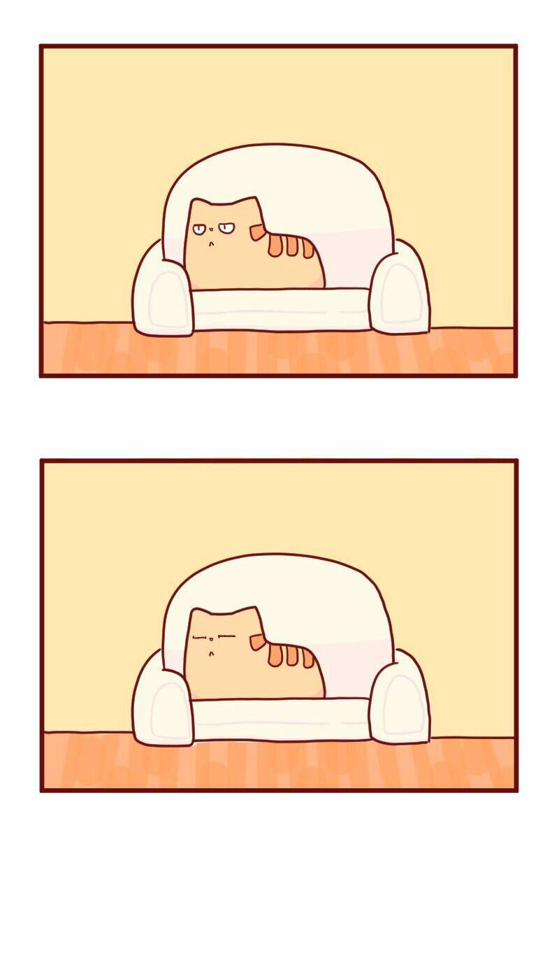 saphie: chú mèo một mắt chapter 15 9