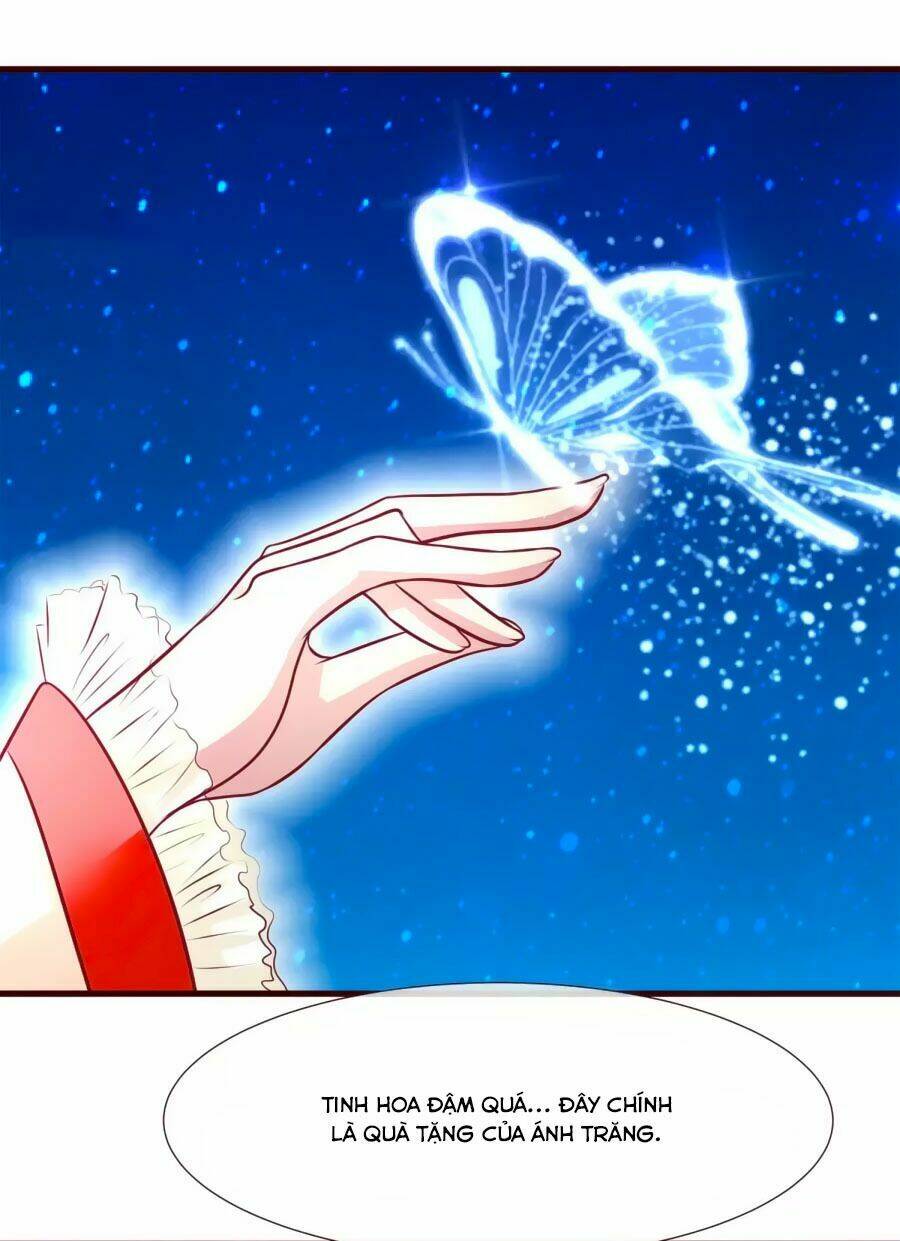 thỏ yêu tiểu vương phi chapter 15 19