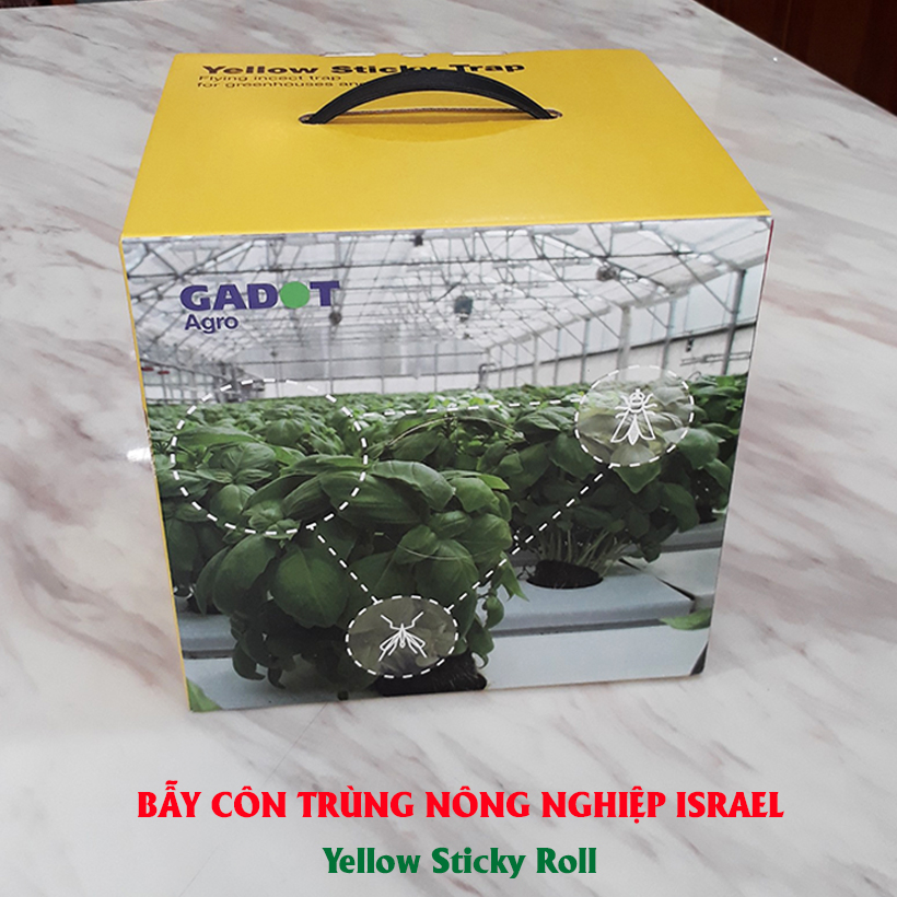 Bẫy Ruồi Nông Nghiệp gây hại Rau Hoa Củ Quả đạt hiệu quả 90% bằng Cuộn Keo Dính Vàng 2 mặt keo (Ngang 18cm x 100 mét dài ), thời gian hiệu lực trên 8 tháng chịu mưa nắng