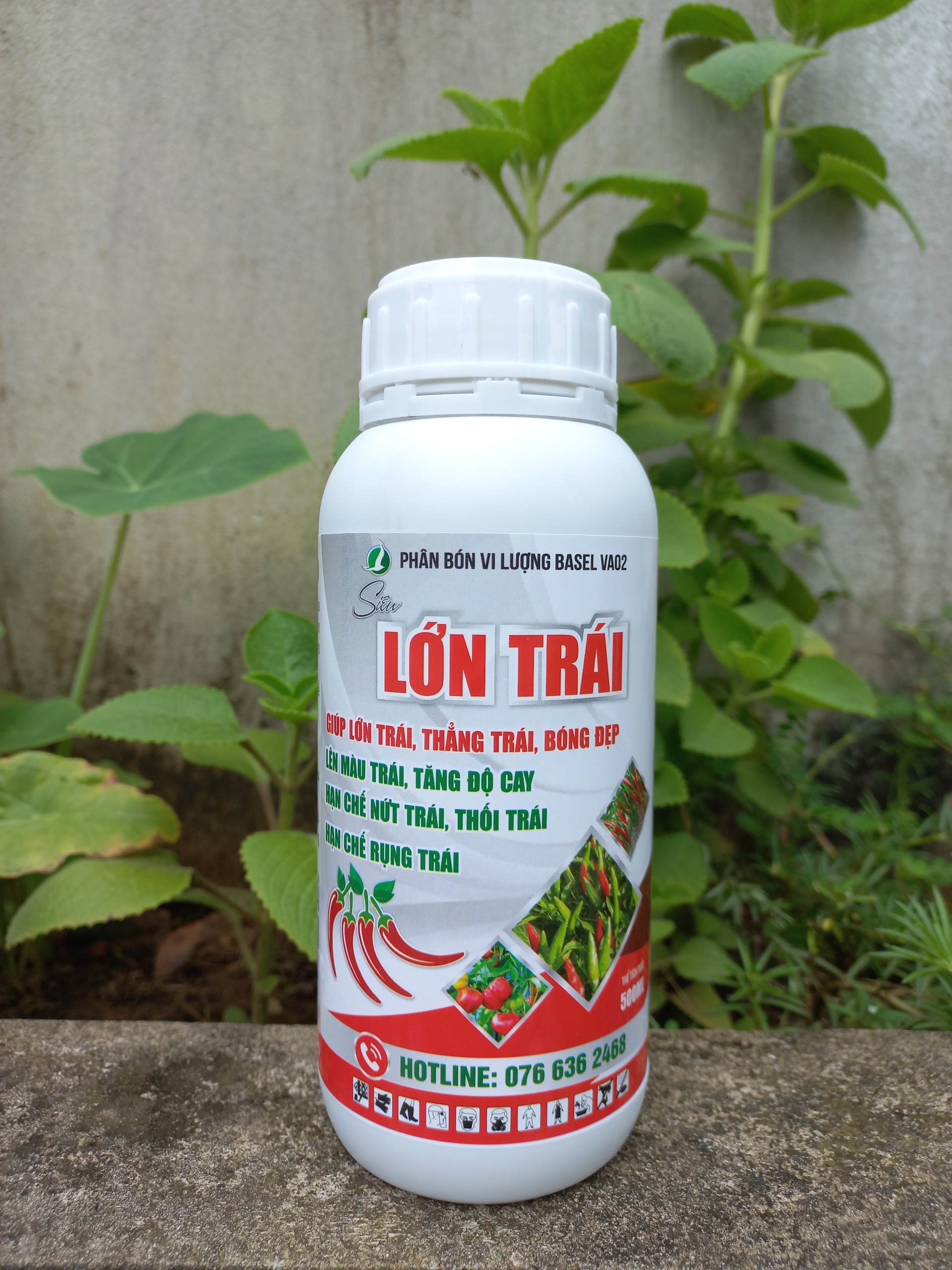 PHÂN BÓN LỚN TRÁI ỚT - GIÚP TRÁI LỚN NHANH, TĂNG ĐỘ CAY, HẠN CHẾ THỐI TRÁI CHAI 500ML