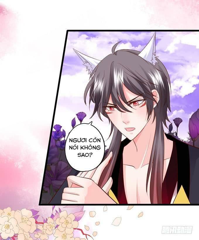 hồ tiên hung bạo chapter 140 12