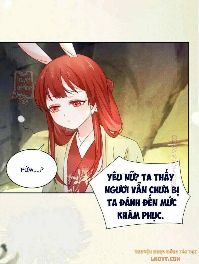 hắc hóa nam chính trực tuyến nuôi thỏ chapter 52 29