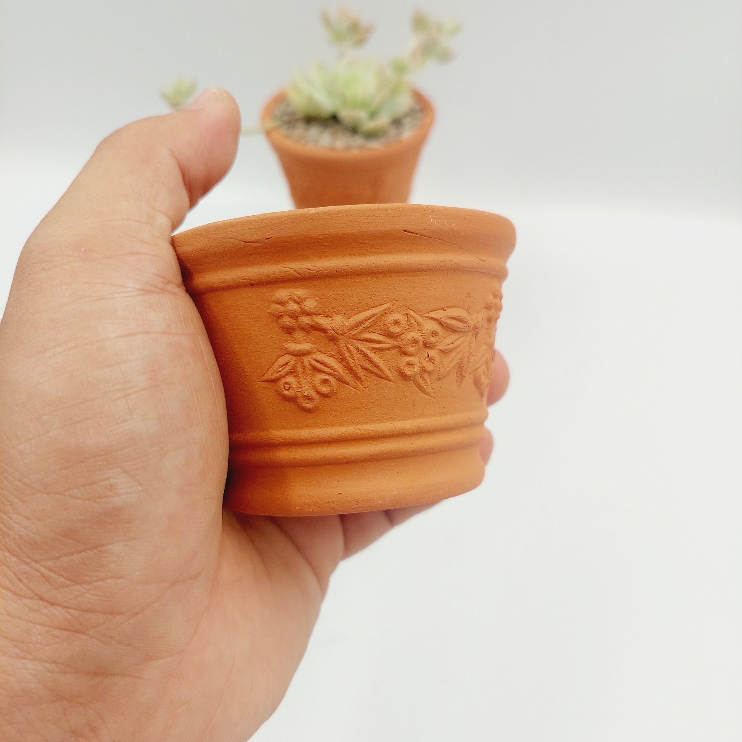 Chậu đất nung, chậu sen đá - Ly dây chùm nho 755, miệng chậu 7.5cm, chiều cao 5cm