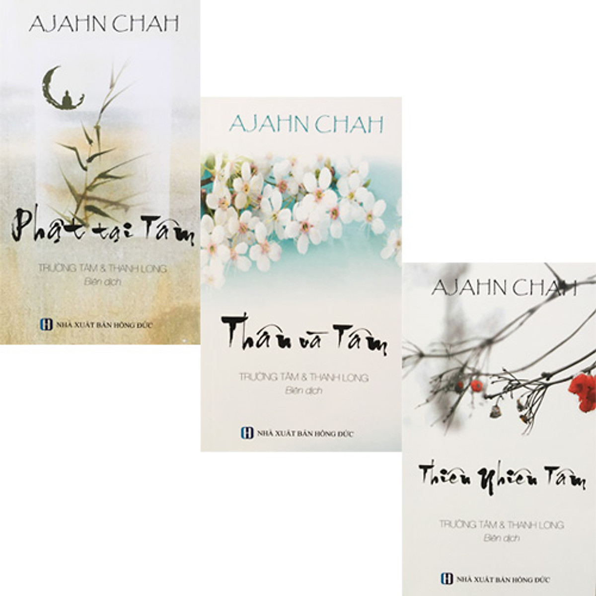 Bộ 3 Cuốn Sách Của Thiền Sư Ajahn Chah : Phật Tại Tâm + Thân Và Tâm + Thiên Nhiên Tâm