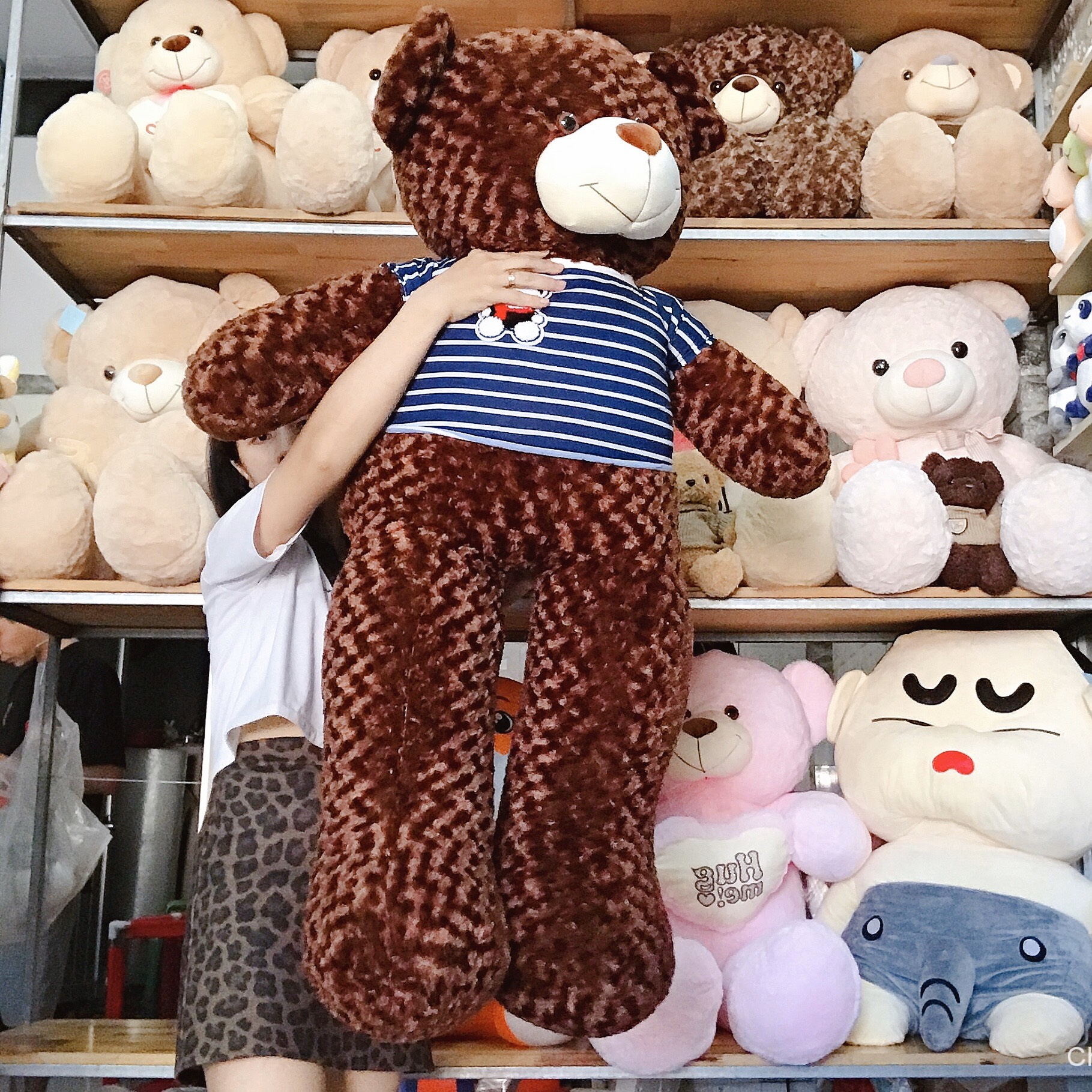 Gấu Bông Teddy Áo Thun Cao Cấp Giá Sốc 1m6 Ảnh Shop Chụp