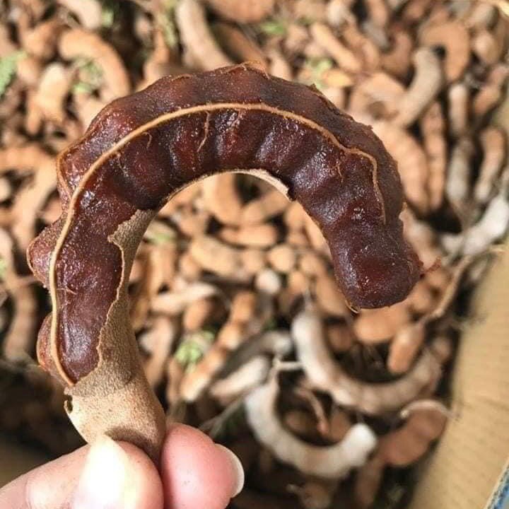 1 ký Me Thái Ngon Ngọt ( Hàng Chuẩn Thái )