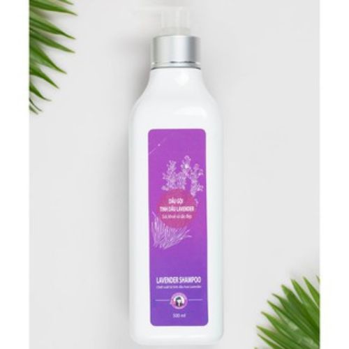 Dầu Gội Tinh Dầu Oải Hương Lavender Tự Nhiên Trần Mao - Dầu Gội Dưỡng Tóc Chắc Khỏe, Bóng Mượt