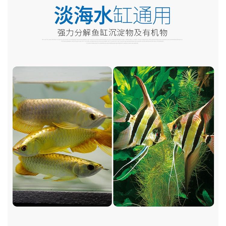 Bộ vi sinh cho hồ cá biển BioDigest & BioPtim - Khởi tạo hệ vi sinh cho bể cá biển - phụ kiện nước mặn - shopleo
