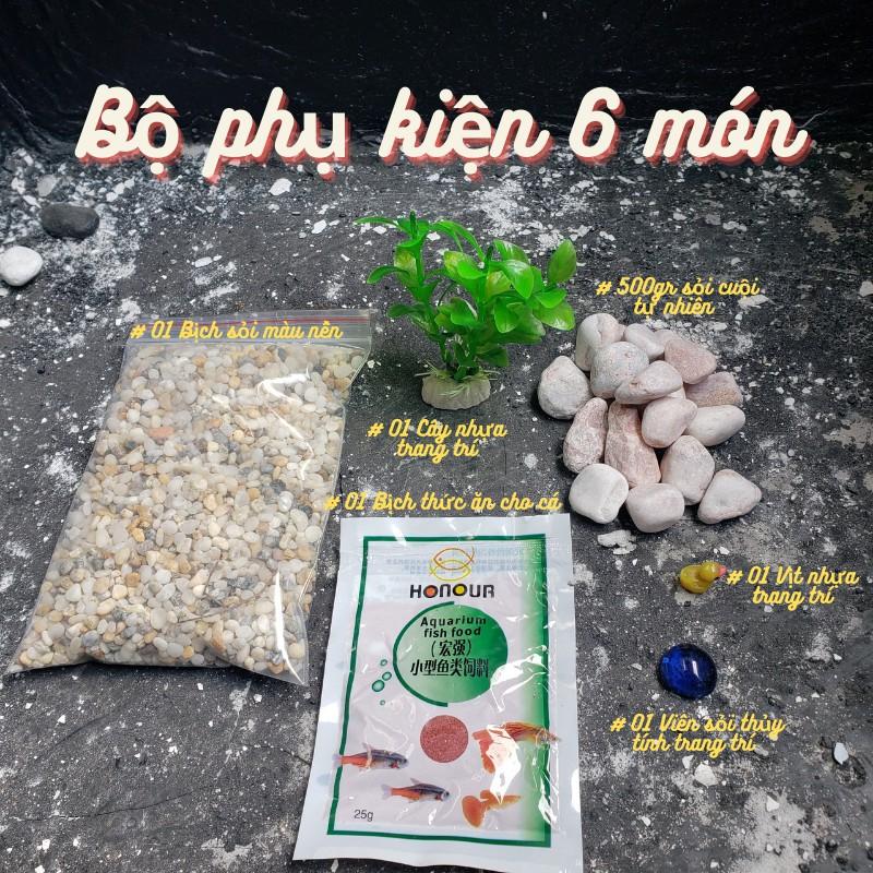 Bể cá mini để bàn tròn D20H30 COMBO Hồ Lọc Đèn kèm phụ kiện tiểu cảnh