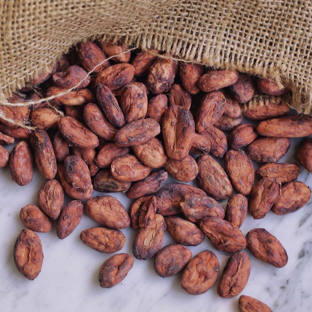 Hạt cacao thô lên men 1kg O'PETIT